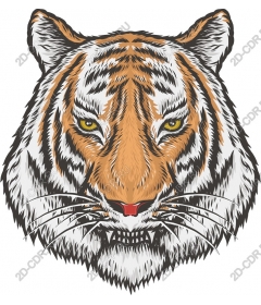 Majestic tiger