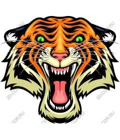 Roaring tiger head