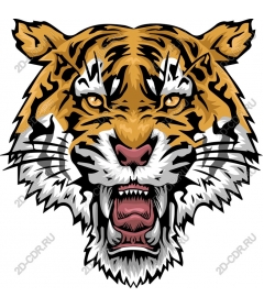 Roaring tiger head
