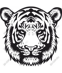 Majestic tiger head