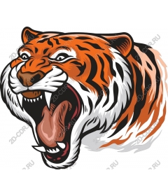  Roaring tiger