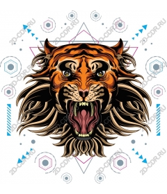 Roaring tiger
