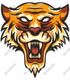 Head of a ferocious tiger