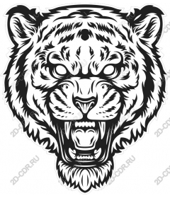  Fierce roaring tiger head