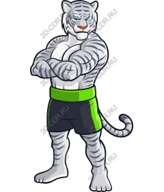  Muscular cartoon tiger