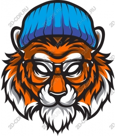  Cool tiger in hat and glasses