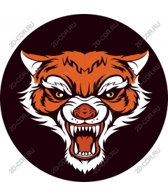  Angry tiger