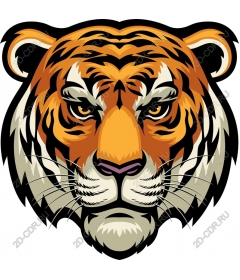 Head of a ferocious tiger