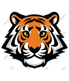 Head of a ferocious tiger