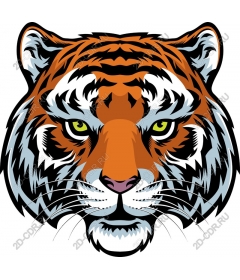 Majestic tiger head