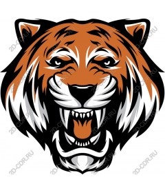 Head of a ferocious tiger