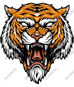  Roaring tiger head