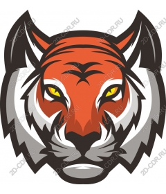 Head of a ferocious tiger