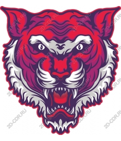 Head of a ferocious tiger