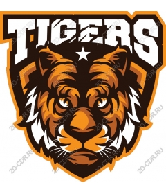  Tigers