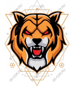 Head of a ferocious tiger