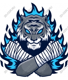  Fierce flame tiger