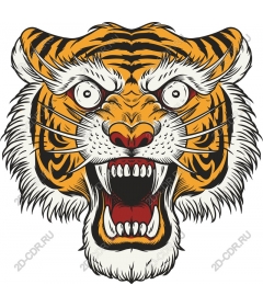  Roaring tiger head