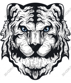  A majestic white tiger head