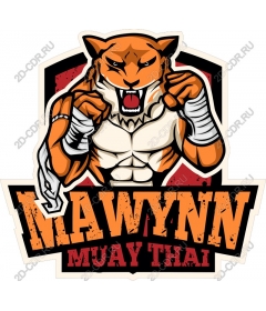  Thai Boxing Tiger