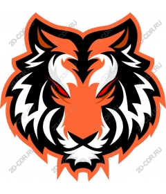 Яркий рисунок головы тигра