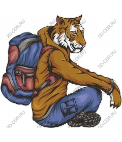  The adventures of tiger