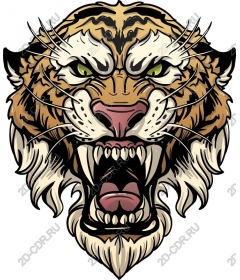  Fierce roaring tiger head