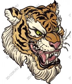  Roaring tiger head