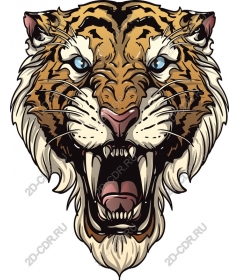 Roaring tiger head