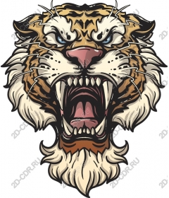 Roaring tiger