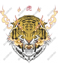 Head of a ferocious tiger