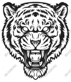  Roaring tiger head