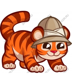 Playful cub