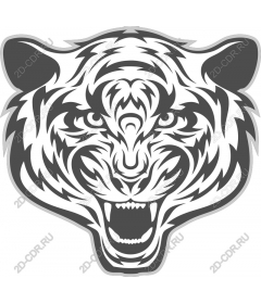Head of a ferocious tiger