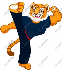  Tiger karate