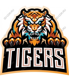  Fierce tiger