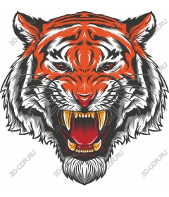  Roaring tiger