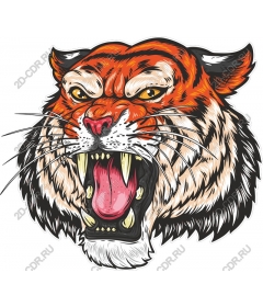Head of a ferocious tiger
