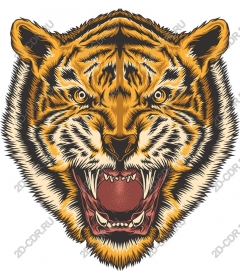  Fierce roaring tiger head