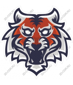 Head of a ferocious tiger