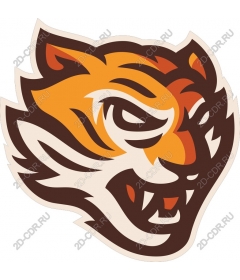 Head of a ferocious tiger