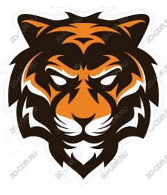 Head of a ferocious tiger