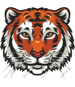 Majestic tiger