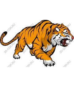 Roaring tiger
