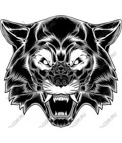 Head ferocious wolf