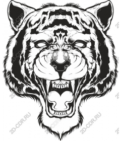  Roaring tiger head