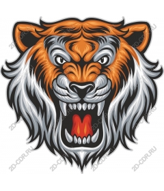 Head of a ferocious tiger