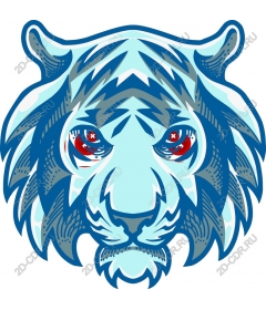 Head of a ferocious tiger