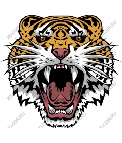 Head of a ferocious tiger