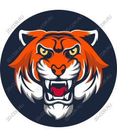 Head of a ferocious tiger